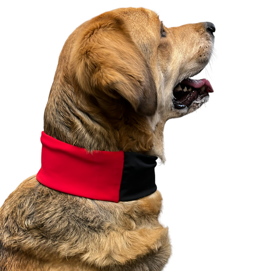 Red Cooling Collar for Dogs