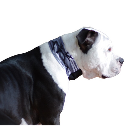 Camo Pupband Wrap