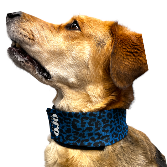 Blue Leopard Pupband Wrap