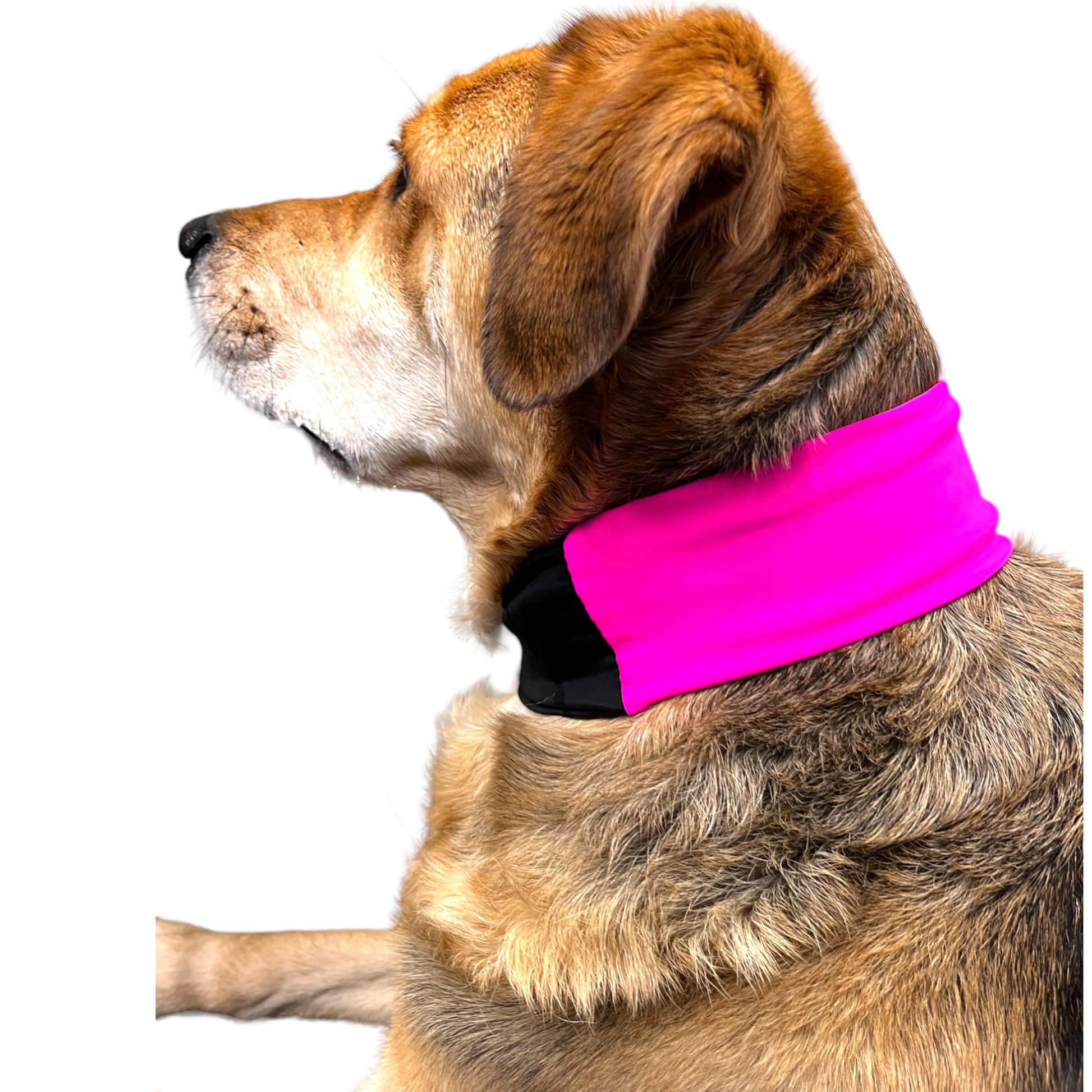 Pink Cooling Collar for Dogs