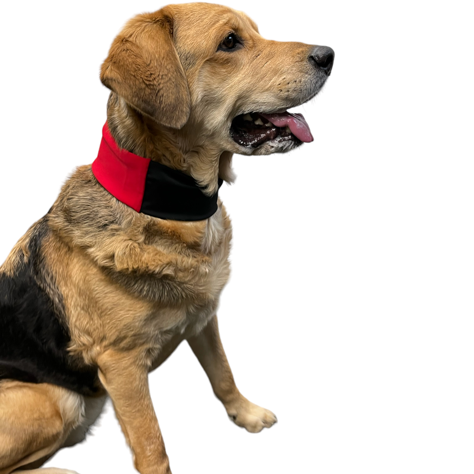 Red_Cooling_Collar_for_Dogs_2